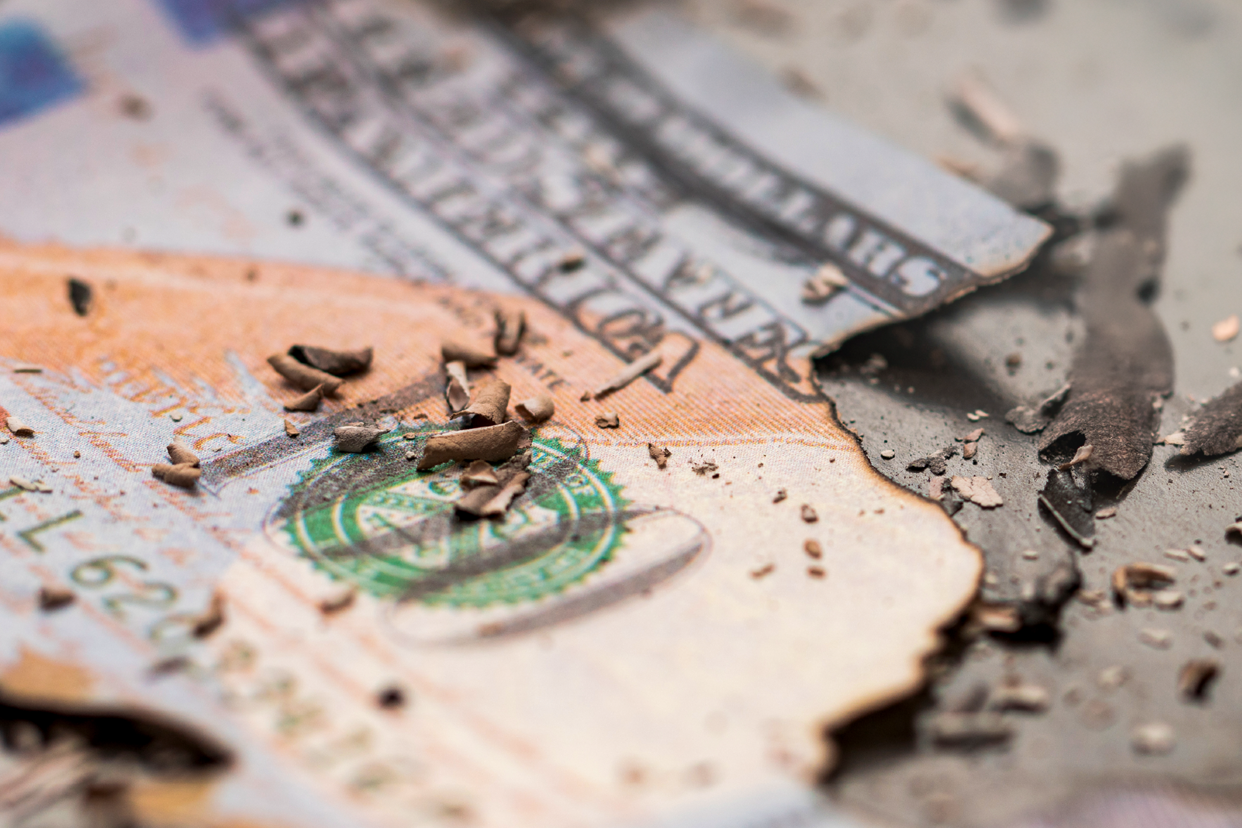 marcas-permacrise-resiliencia-proposito