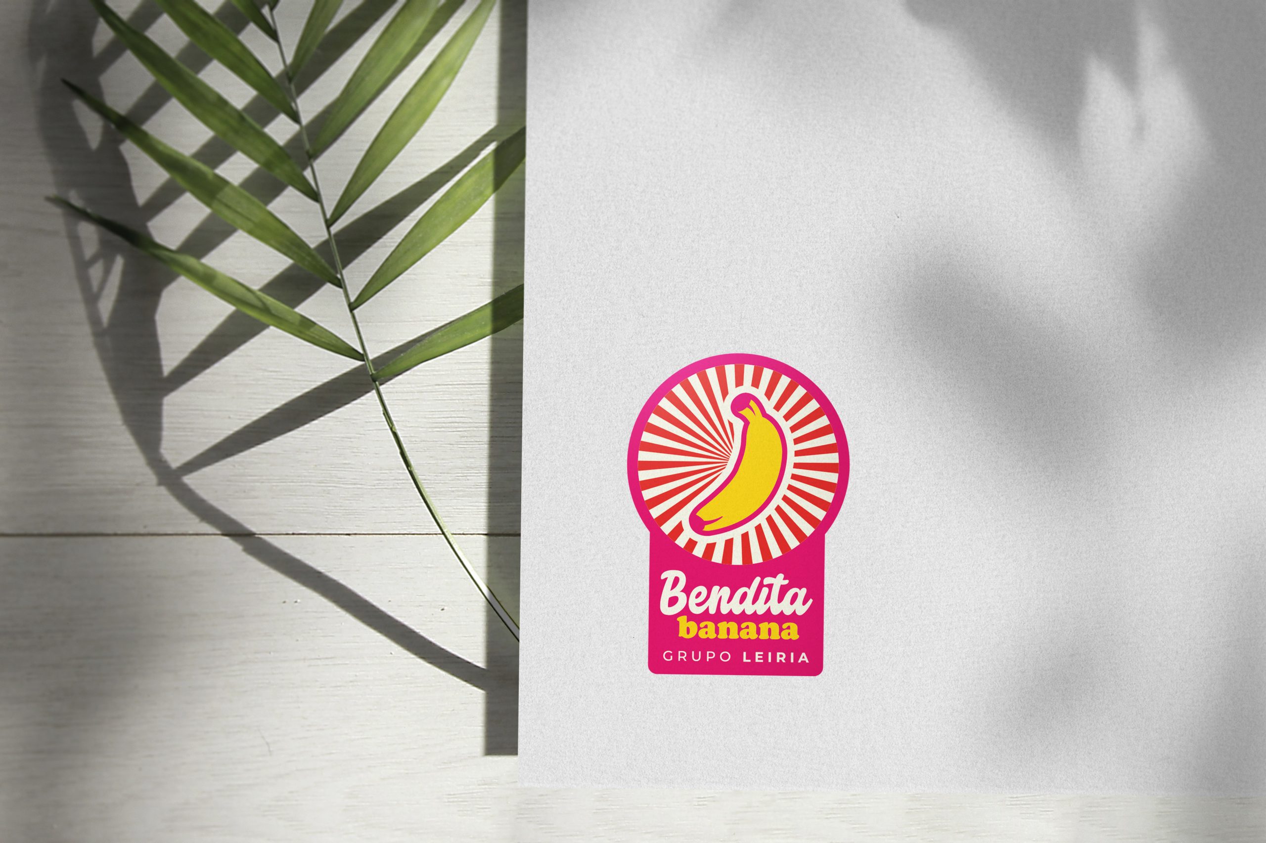 Imagem 01 Case Bendita - Sense House