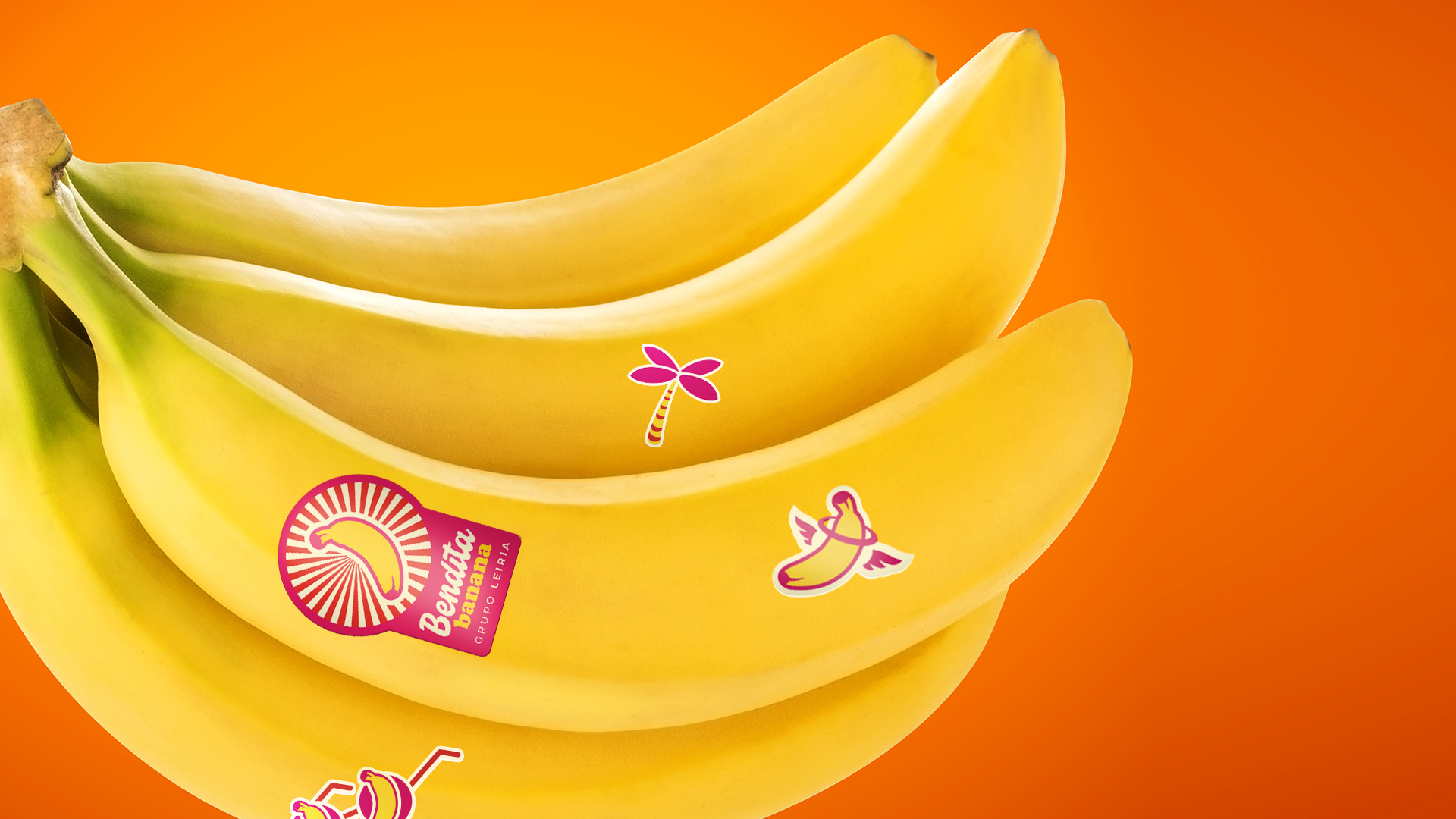 Imagem 06 Case Bendita - Sense House